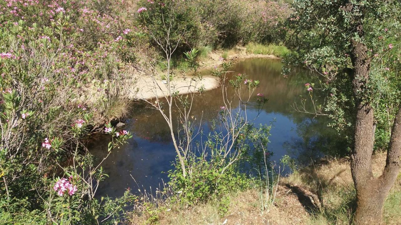 Agroturismo Flores Do Campo Villa Vila Verde de Ficalho Eksteriør billede